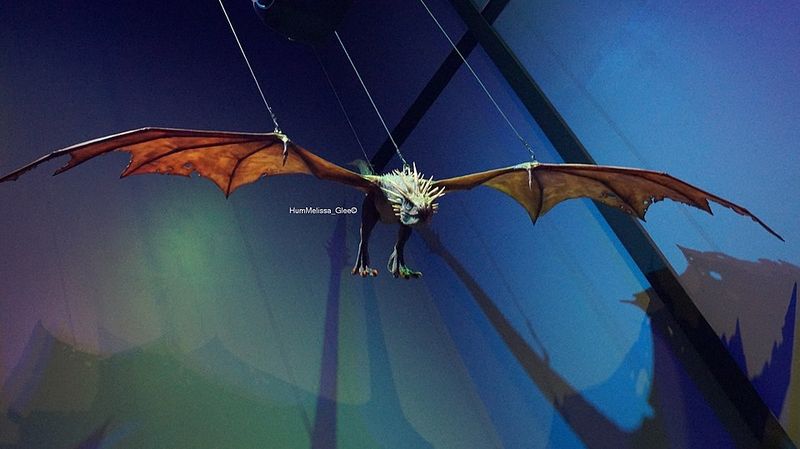 Hungarian Horntail, Harry Potter And The Goblet Of Fire