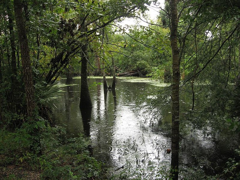 Barataria Preserve, Jean Lafitte National Historical Park And Preserve, Louisiana