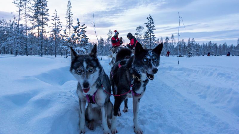 Lapland, Norway (Alta Region)