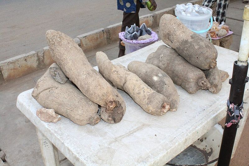 Skin Texture Tells No Lies