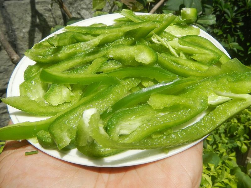 Crunchy Veggie Inserts