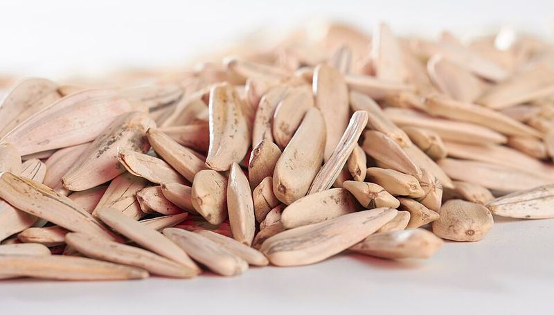 Sunflower Seeds