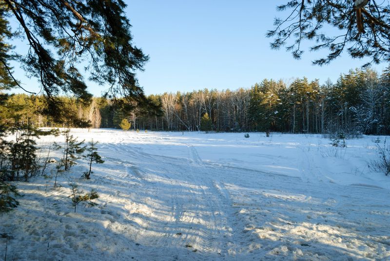 Winter Light Softens The Countryside