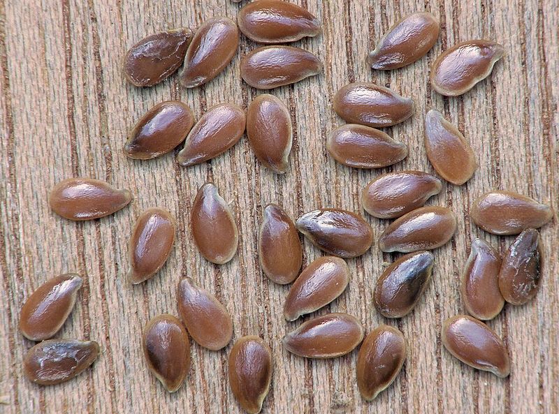 Flax Seeds