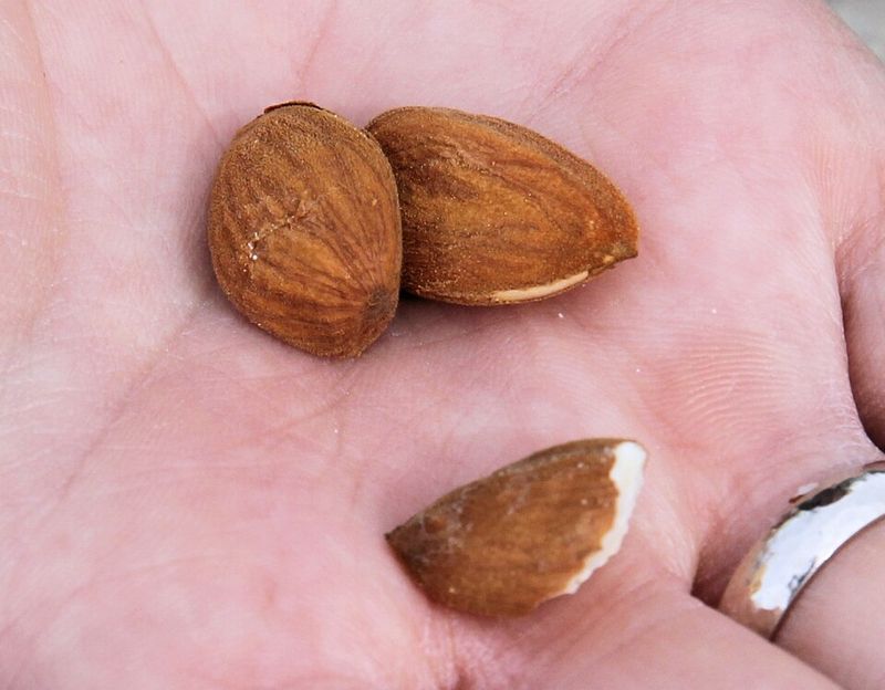 Almonds