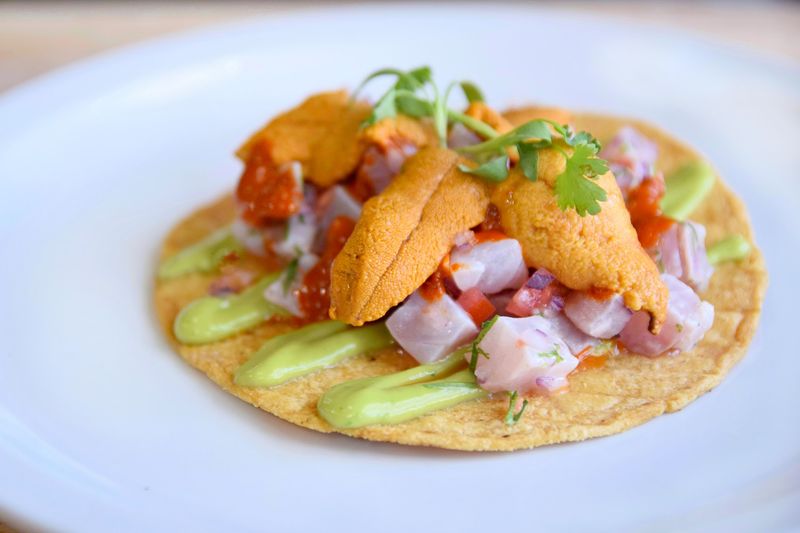 Holbox - Los Angeles, California