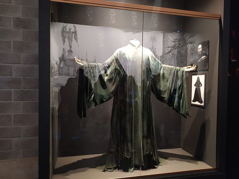 Voldemort's Early-Life Threads Beyond Key Memories