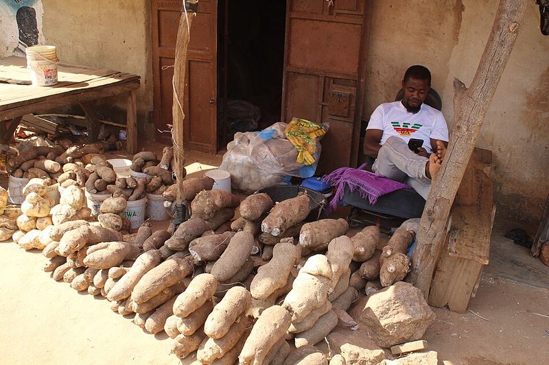 Growing Conditions Demand Different Climates