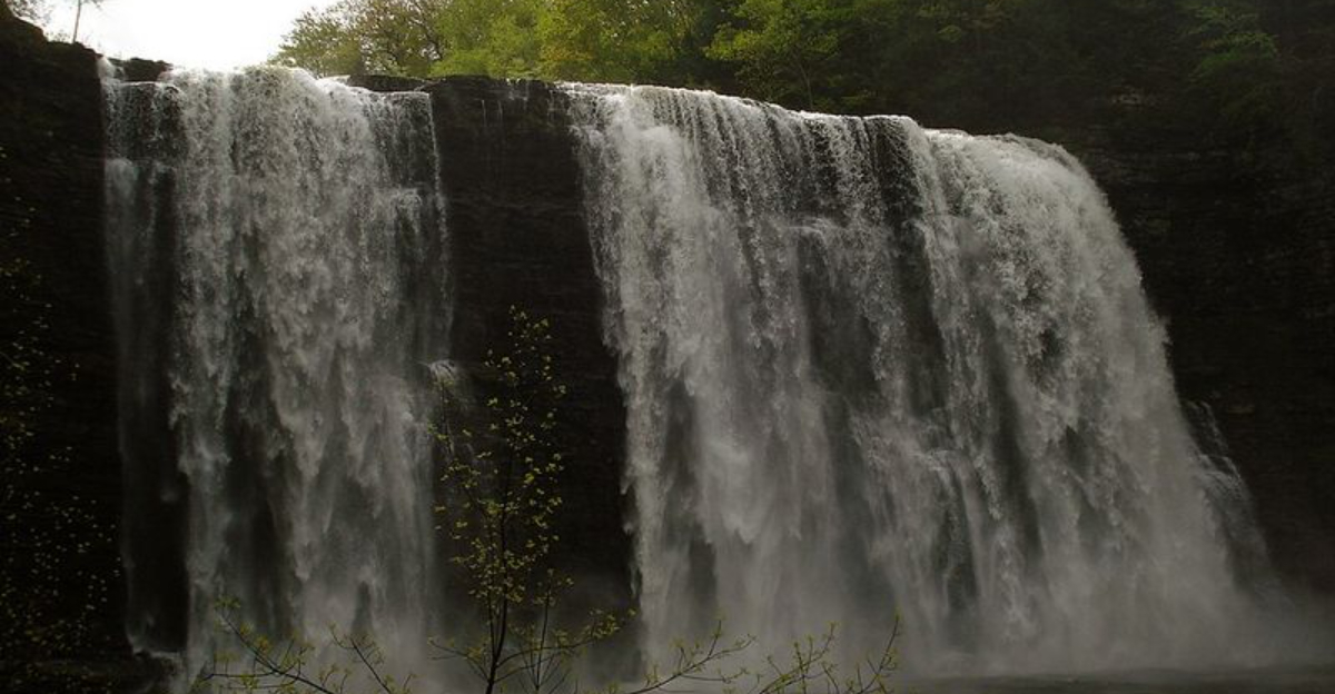 The Oak Rim Trail Is A New York Gem For Fall Colors And Waterfall Views