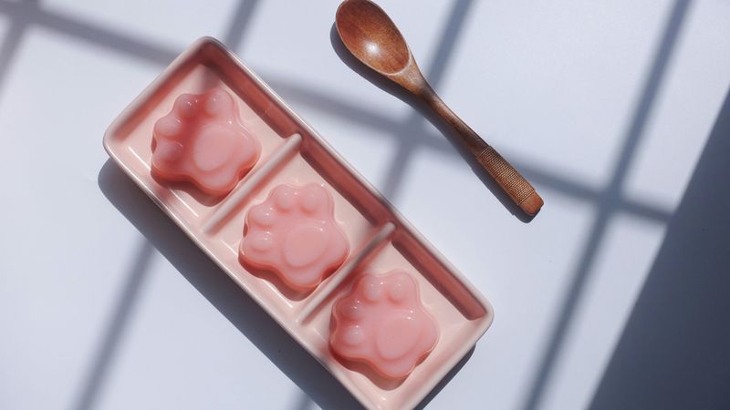 Gelatin Gloss Technique