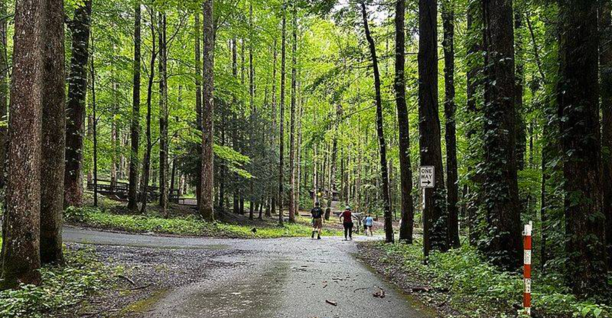 What Makes The Great Smoky Mountains One Of America’s Riskiest Parks