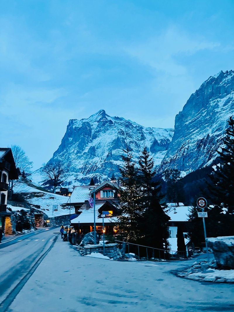 The Twelve Dates of Christmas – Jenny Bayliss