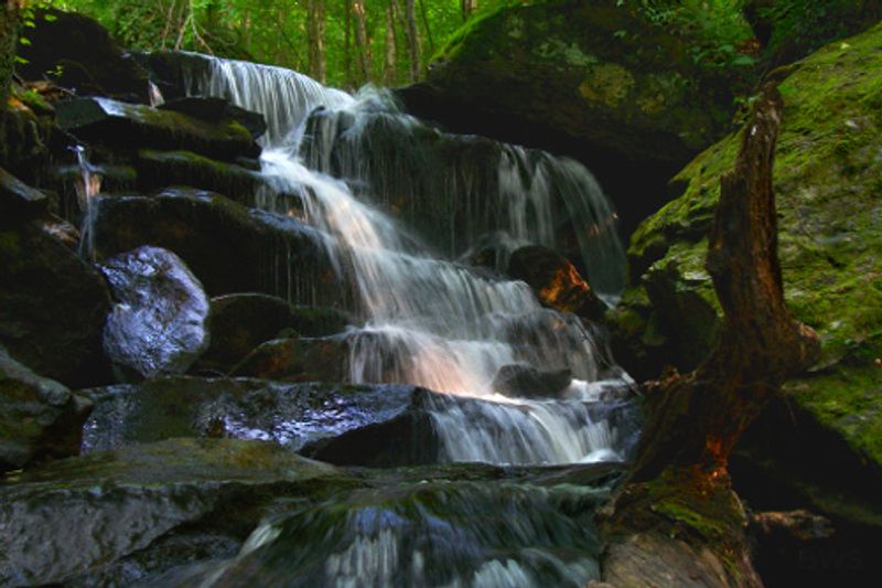 Green Mountain National Forest, Vermont