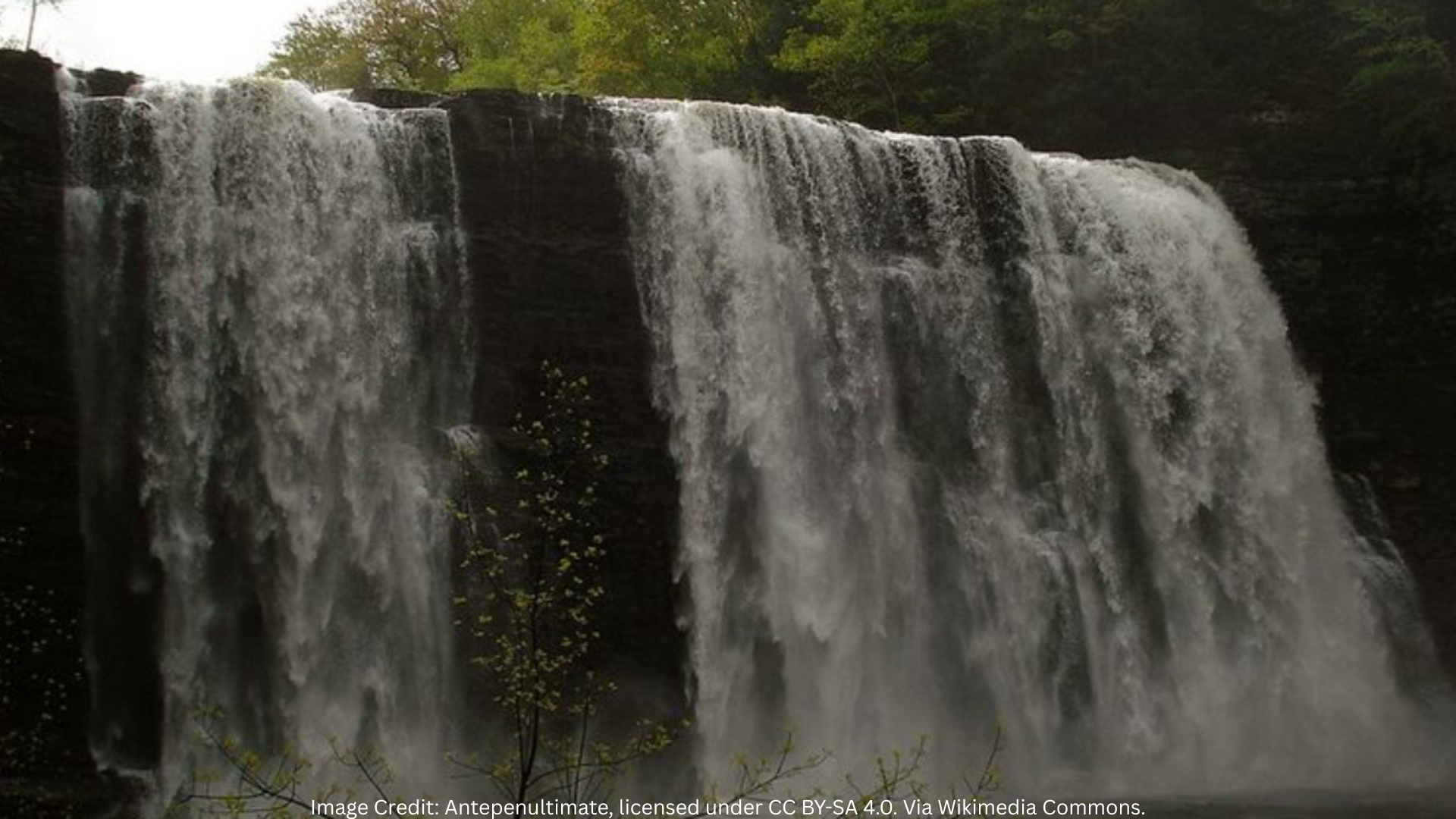 The Oak Rim Trail Is A New York Gem For Waterfall Views