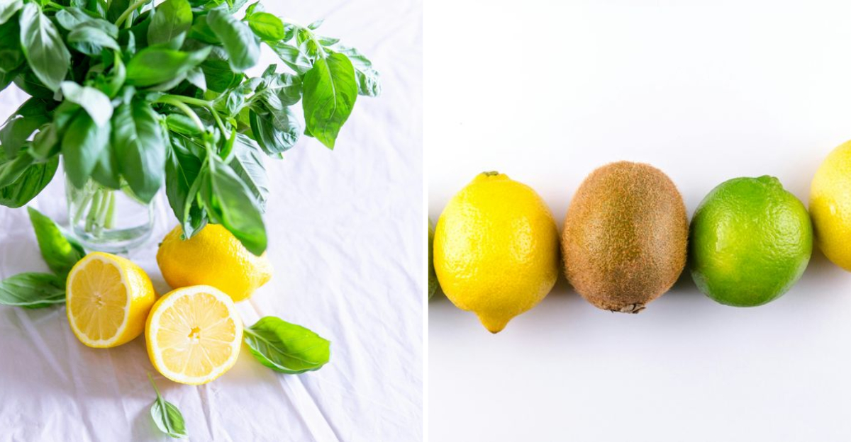 10 Fruits That Are Surprisingly Low In Sugar