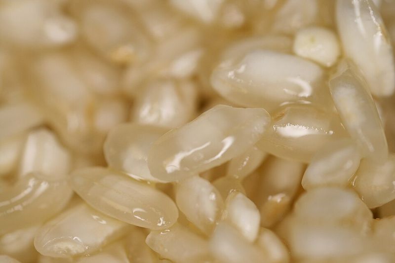 Select Your Grain Wisely