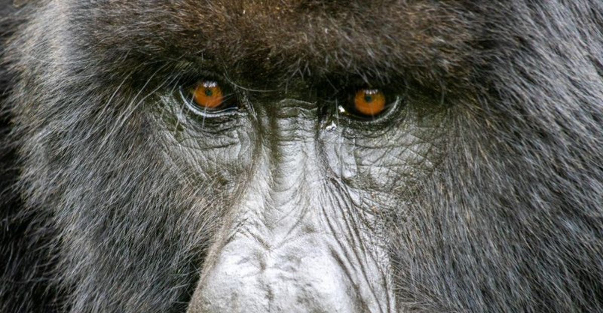 10 Movies That Capture The Jurassic Park Thrill