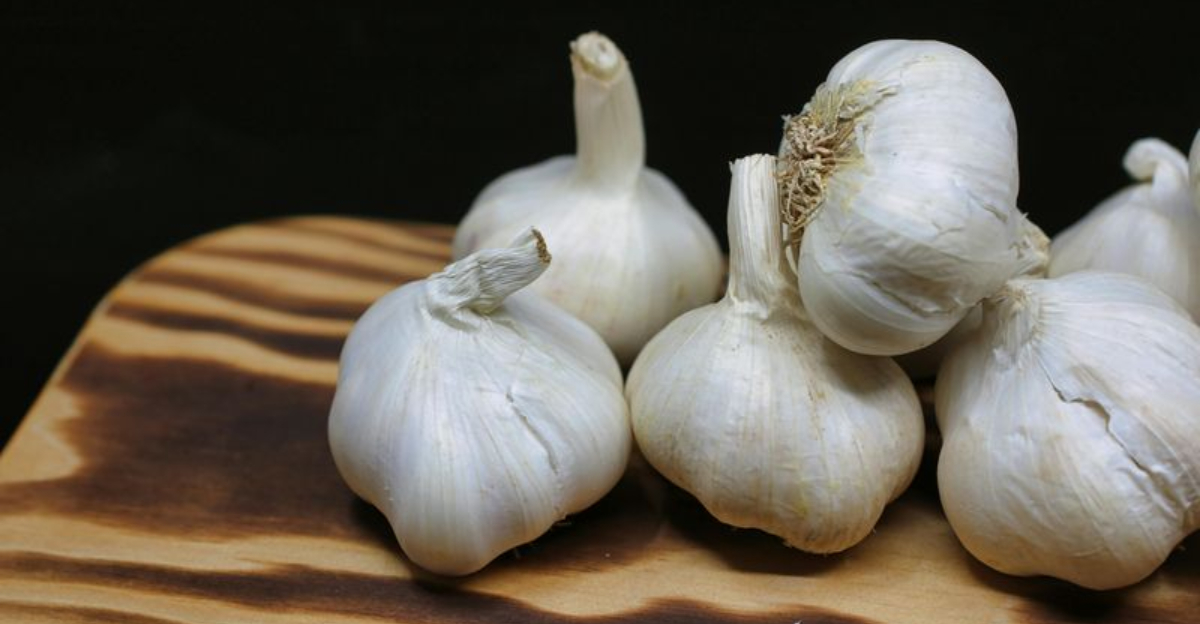 10 Powerful Health Benefits You Get From Garlic