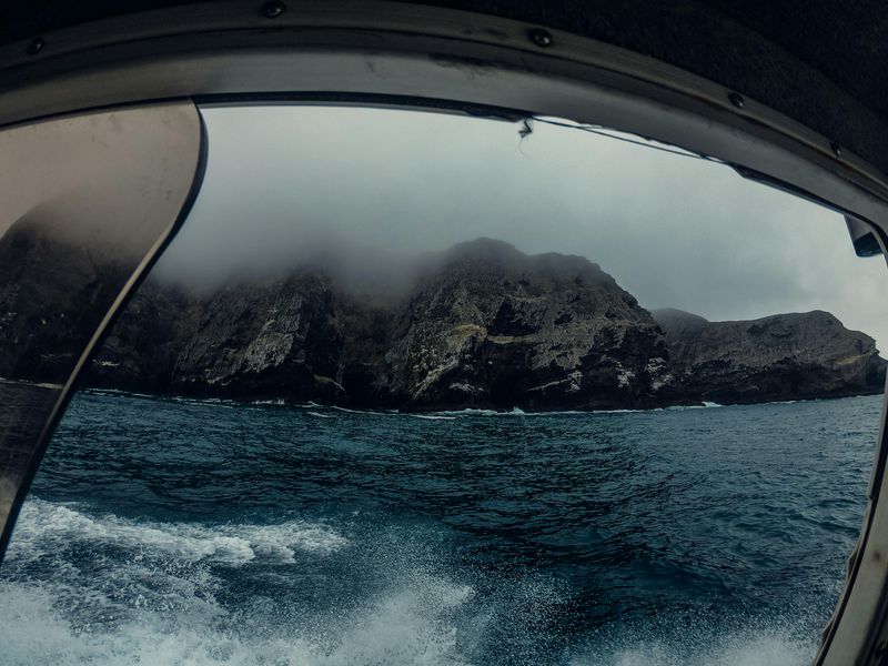 Wild Dark Shore by Charlotte McConaghy