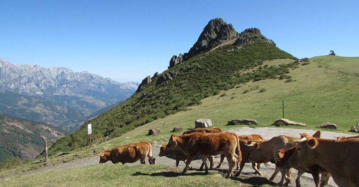 20 Spain Destinations That Belong On Every Bucket List