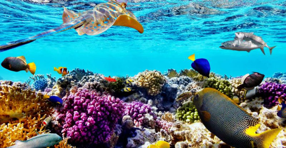 20 Travel Destinations Known For Marine Life Encounters