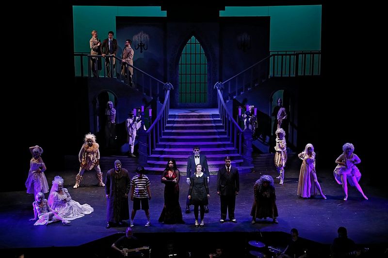 The Addams Family (1991)