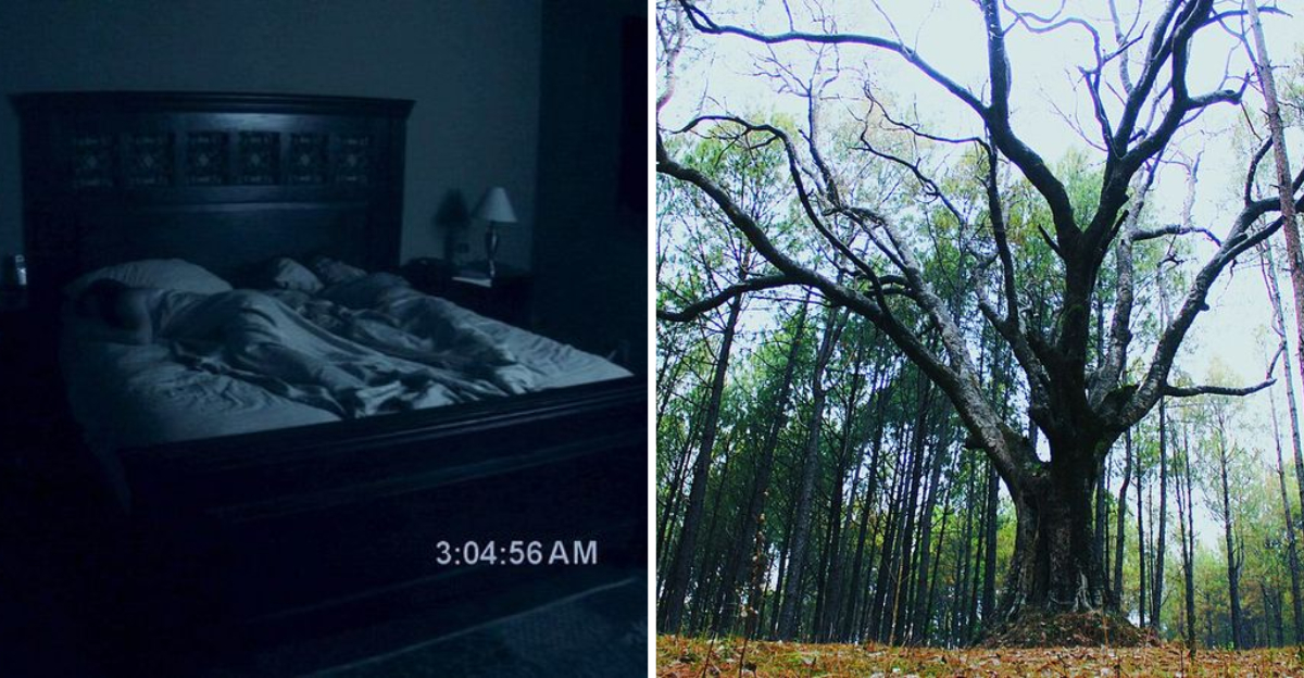 5 Groundbreaking 2000s Horror Films That Still Haunt Audiences