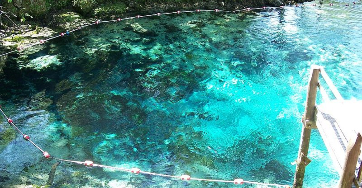 9 Gorgeous Florida Springs You Should Explore This Season