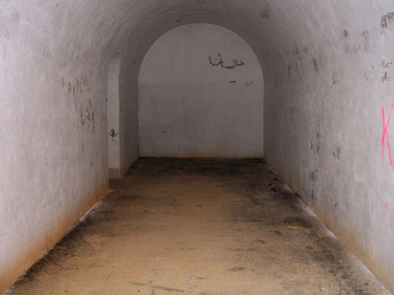 Cold War Villains Operating With Fantasy-Level Freedom