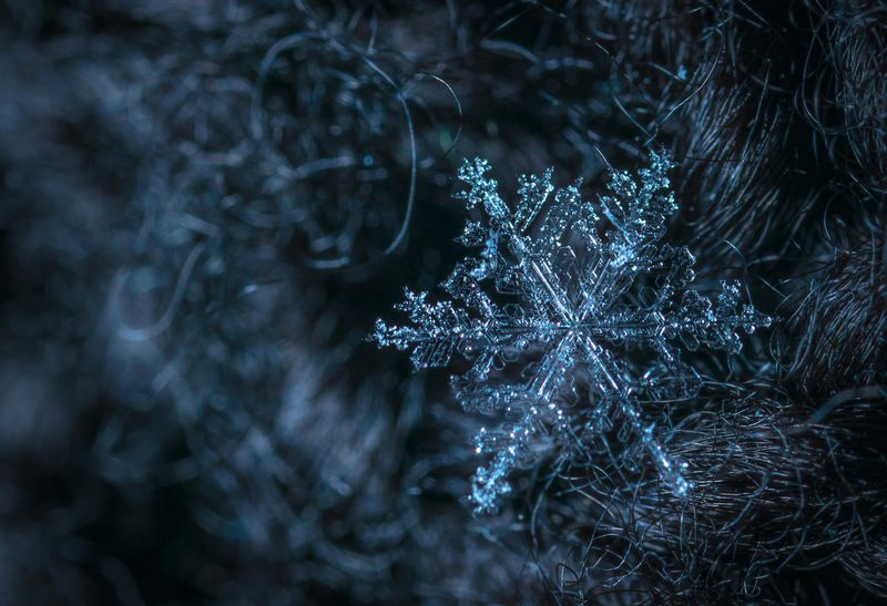 A Snowflake Generator For Endless Variety