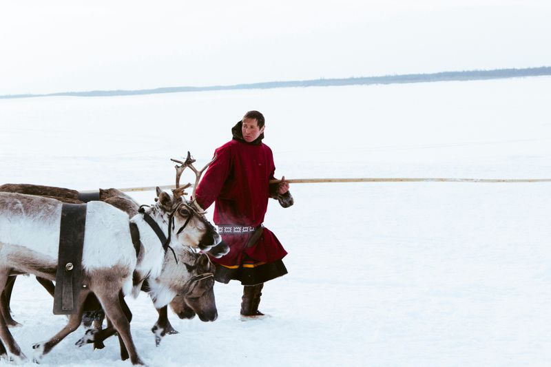 Sámi Culture Shaped Kristoff's World