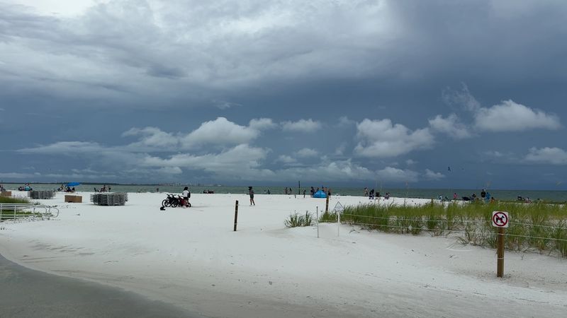 Honeymoon Island State Park – Shelling, Birdlife, And Classic Gulf Scenery