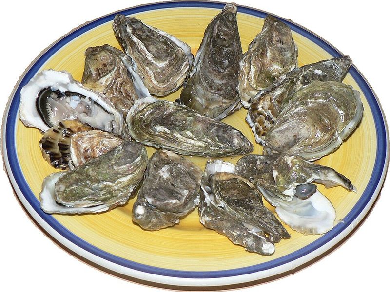 Oysters (Bélon/European Flat Oysters)