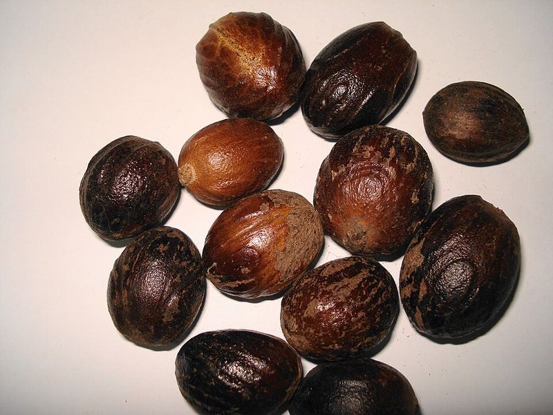 Nutmeg (Jaiphal)