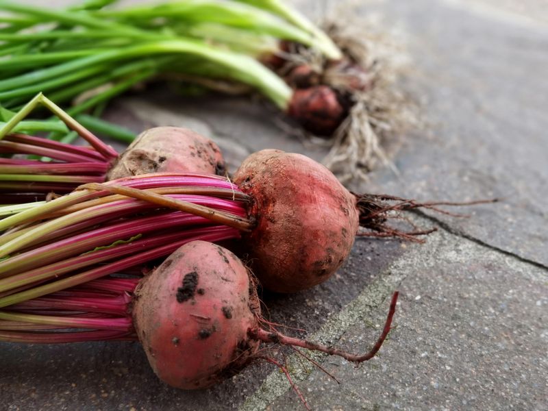 Beets
