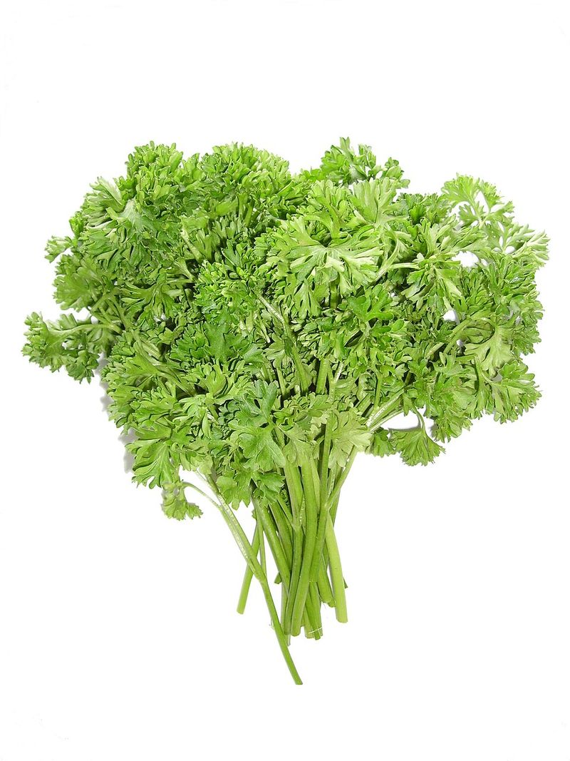 Herbs Aren’t Garnish, They’re Part Of The Structure