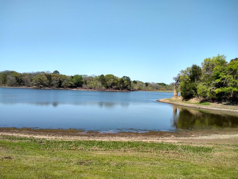 Buescher State Park (Smithville)