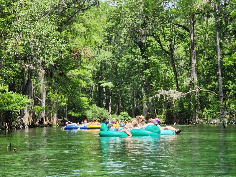 Community-Favored Spots: Ichetucknee Springs State Park