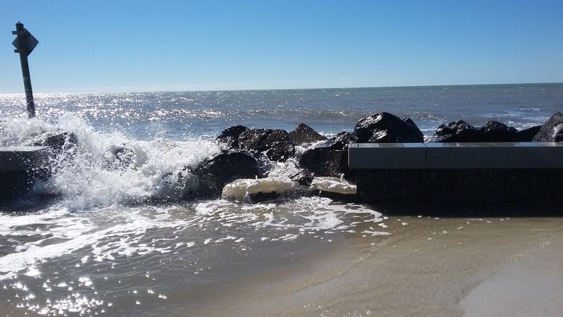 Community-Favored Spots: Honeymoon Island State Park