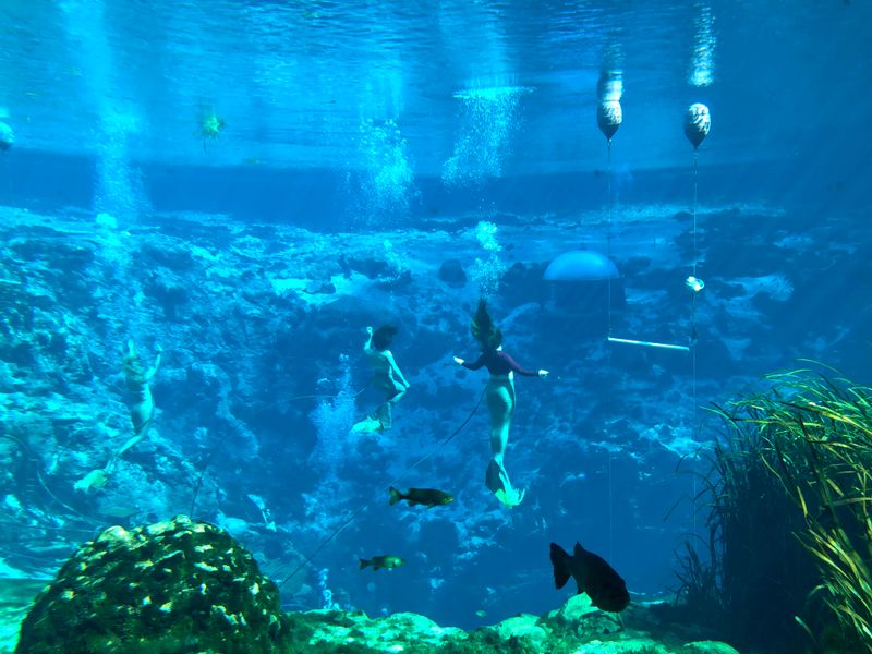 Community-Favored Spots: Weeki Wachee Springs State Park