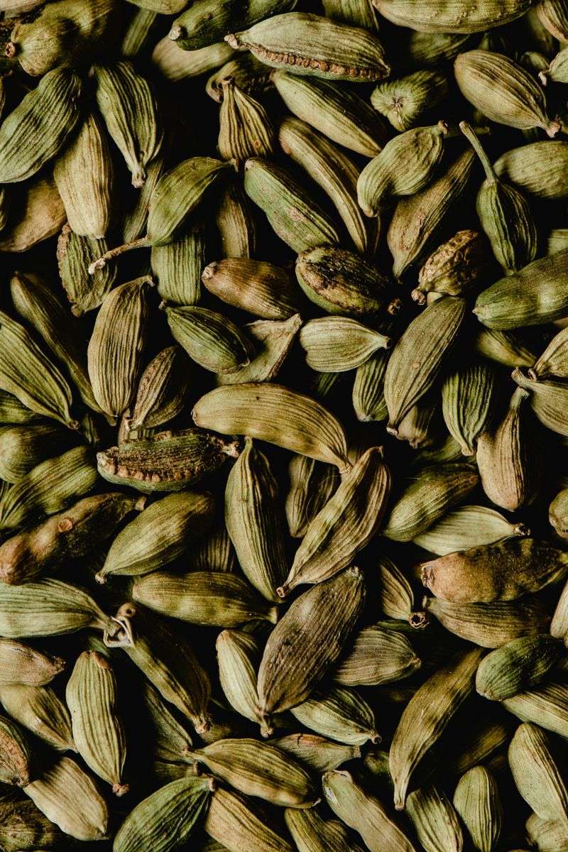 Cardamom (Elaichi)
