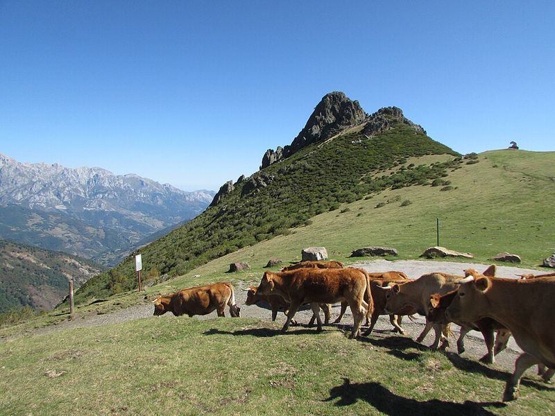 Picos de Europa National Park