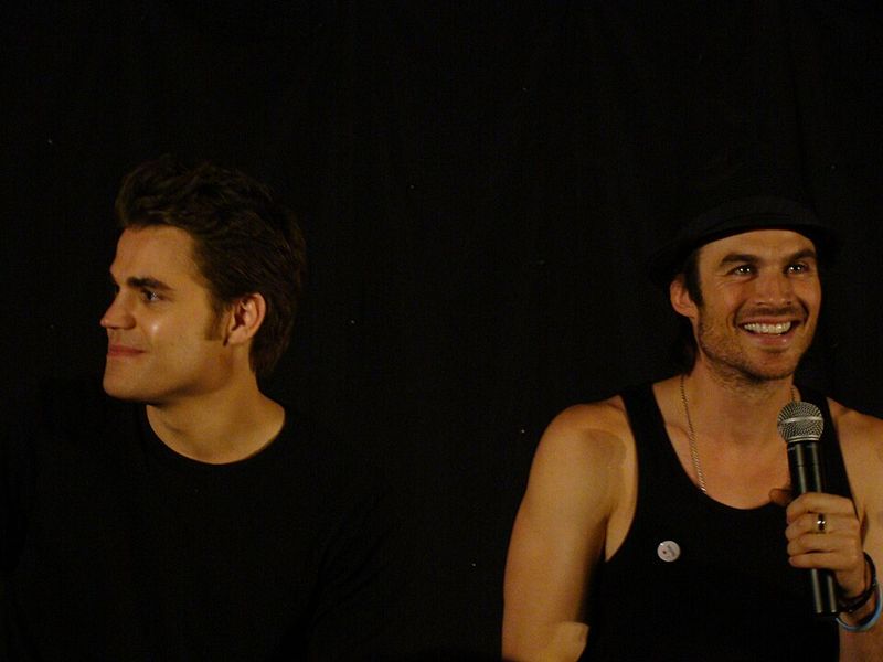 Damon and Stefan Salvatore (The Vampire Diaries)