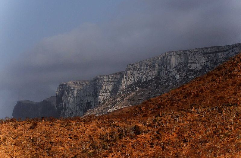 Socotra Island