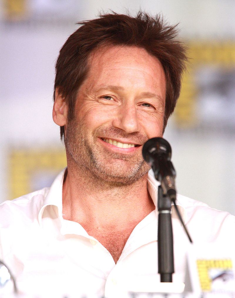 David Duchovny - The X-Files