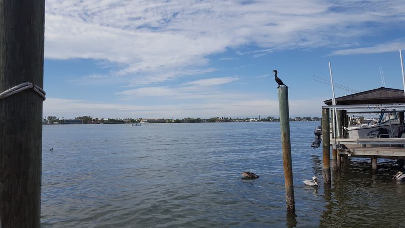 Working Waterfront Heritage in Cortez