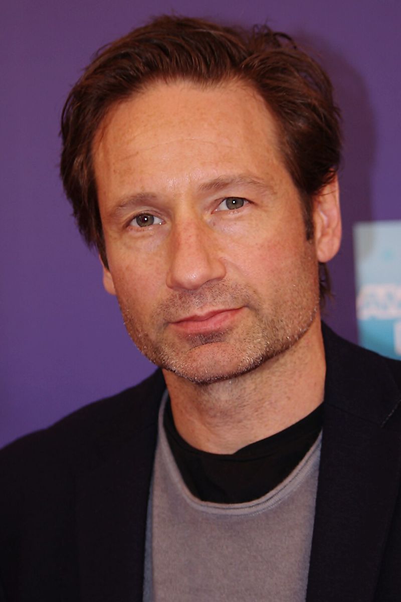 David Duchovny (The X-Files)