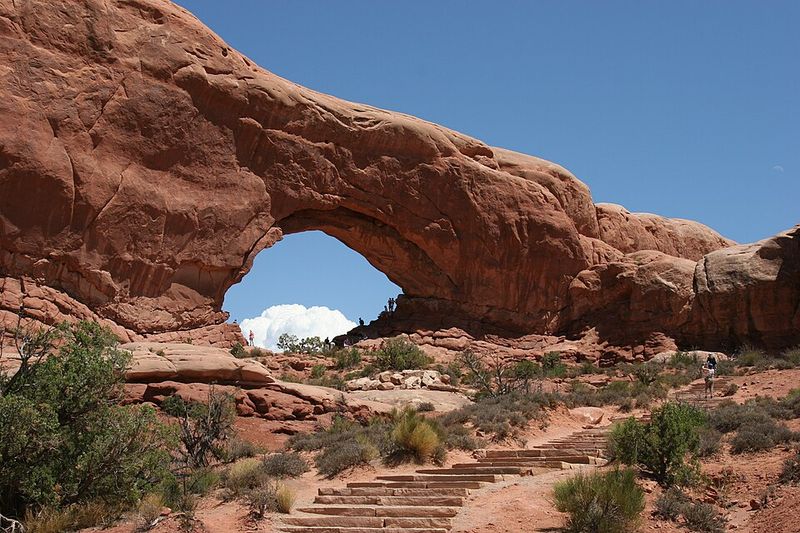 Visit the Windows Section