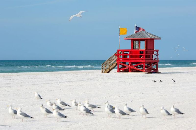 Siesta Beach – Powder-Soft Quartz Sand And Calm Gulf Water