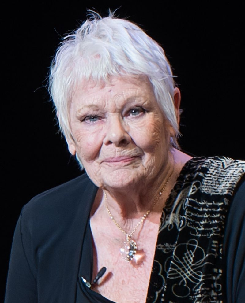 Judi Dench Radiates Timeless Grace
